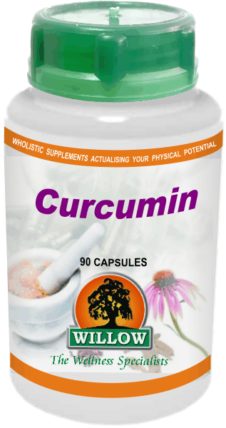 CURCUMIN 90 caps